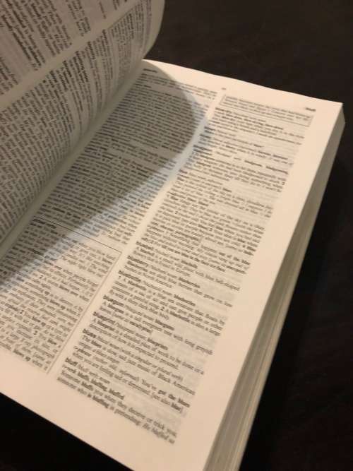 South African Students Dictionary