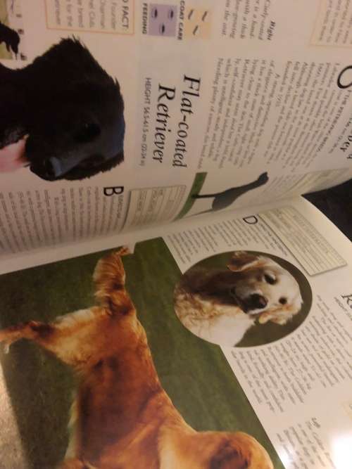 The encyclopedia of dog breeds