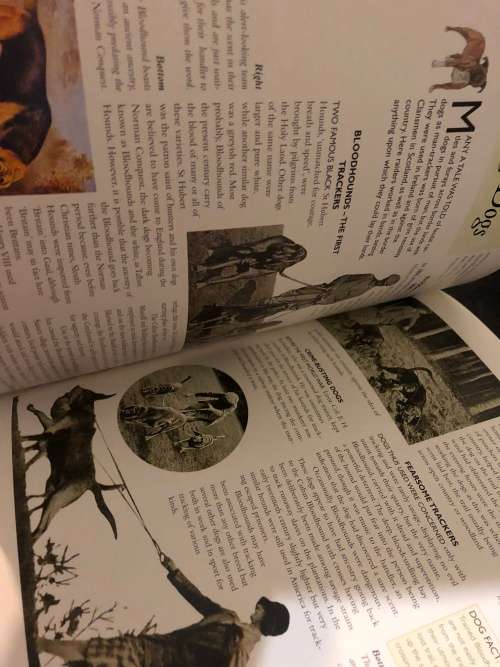 The encyclopedia of dog breeds