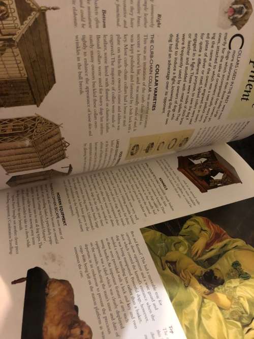 The encyclopedia of dog breeds