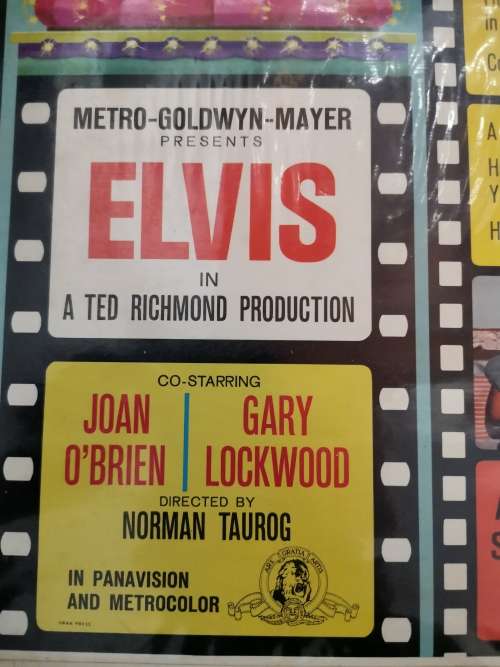 Elvis - world's fair - Vinyl