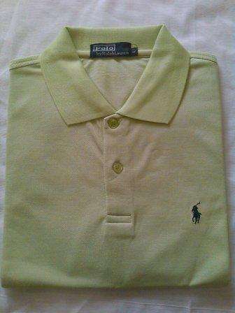 Polo Golf Shirt (Large)
