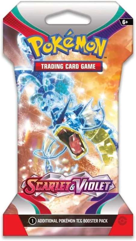 Pokemon Mystery Box