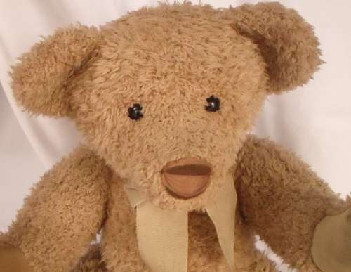 COLLECTORS ITEM BEAUTIFUL  VINTAGE LARGE LIMITED EDITION BUTTON RUSS PENDLEBURY BEAR