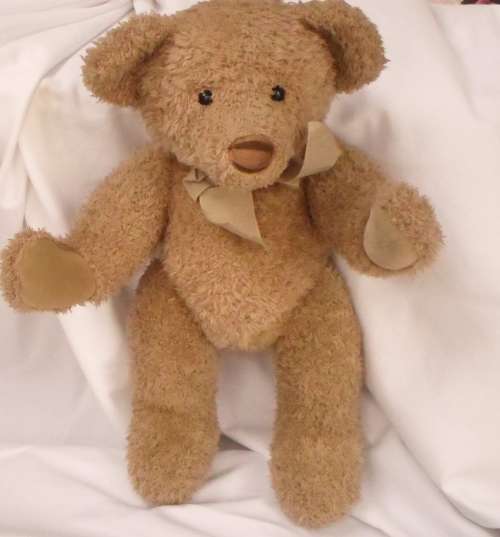 COLLECTORS ITEM BEAUTIFUL  VINTAGE LARGE LIMITED EDITION BUTTON RUSS PENDLEBURY BEAR