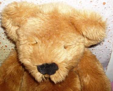 BEAUTIFUL COLLECTORS TEDDYS (CUBBS)IM A RUSS B