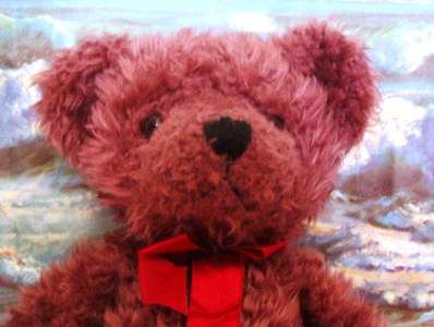 BEAUTIFUL RUSS BEARMY NAME   IS BARNABY