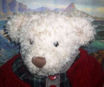 BEAUTIFUL COLLECTORS BEARS ( RUSS MY NAME IS ASHLYN)