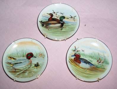 SET OF  PLATES WITH HANGING WIRE