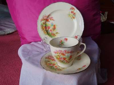 BEAUTIFUL PORCELAIN OLD ALFRED MEAKIN TRIO.
