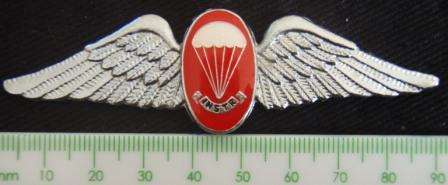 PARA Instr Freefal Qualification badge