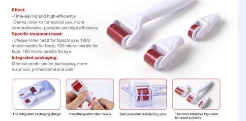 Amazing  4 in 1 Derma Roller System