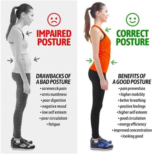 Adjustable Brace Plus Posture Corrector / Back Supporter for Posture and Neck / Back Pain Relief