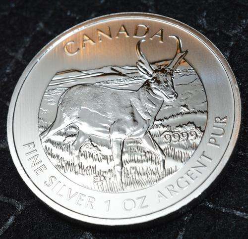 2013 CANADA BU 0.999 1oz PRONGHORN ANTELOPE Silver Coin-LOCAL SHIPPING
