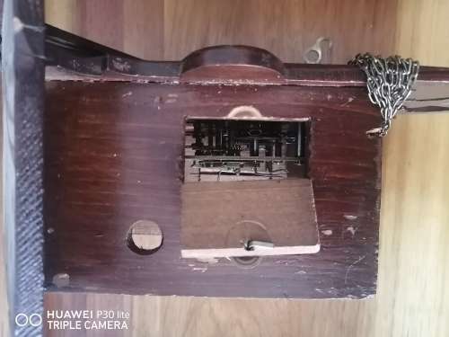 Cuckoo Clock - Needs Service & Repair - Read Description