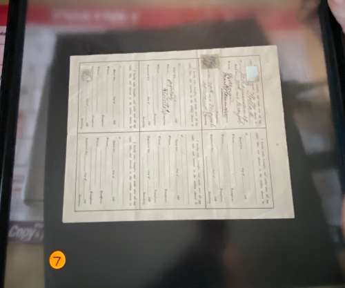 SOUTH AFRICA - `The Herman Patent Conglomerate`. 100 Shares issued. Certificate no 116. 14 June 1896