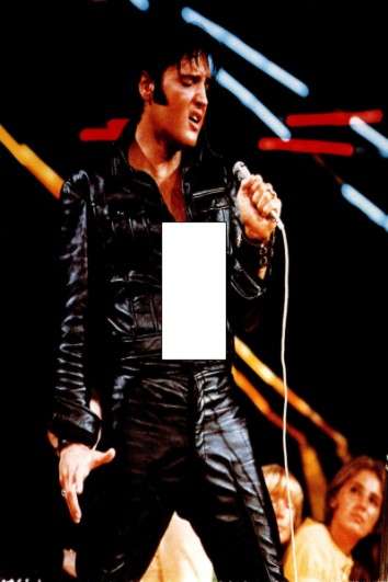 Elvis Light switch cover plate