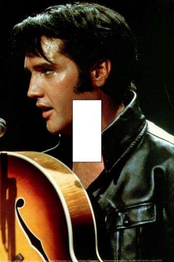 Elvis Light switch cover plate