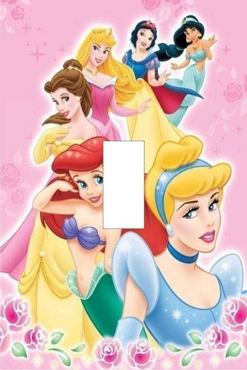 Princess Light switch cover plate