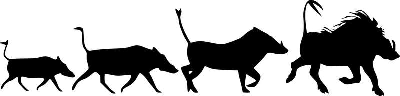## VINYL WALL ART  WARTHOGS ##