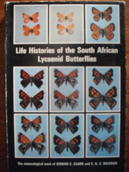 Life Histories of the South African Lycaenid Butterflies