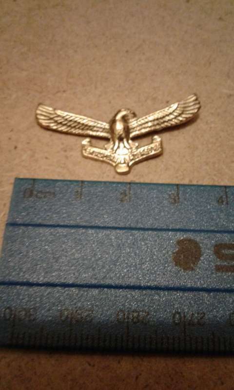Air Force BADGE