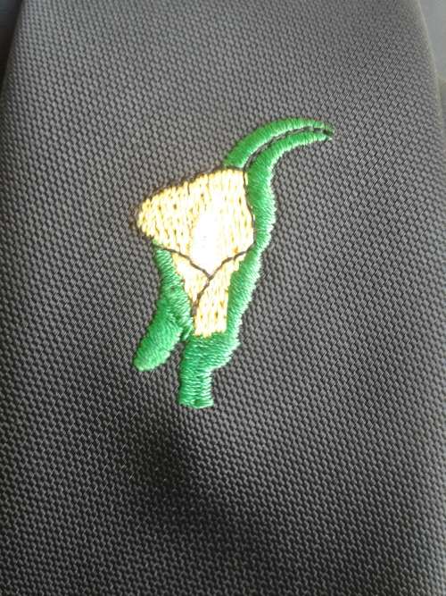 Rugby Tie South East Transvaal (Suid-Oos Transval)
