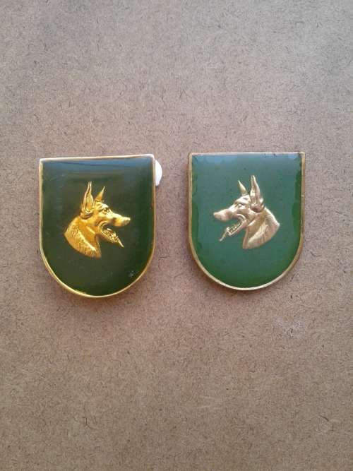 SA Prison Service dog unit Badge