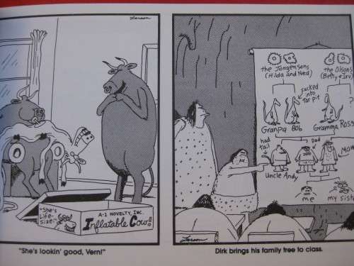 "The Far Side Observer"  Soft cover.  Gary Larson.