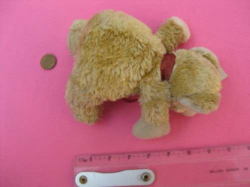 Teddy bear small