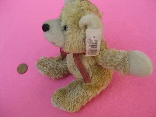 Teddy bear small