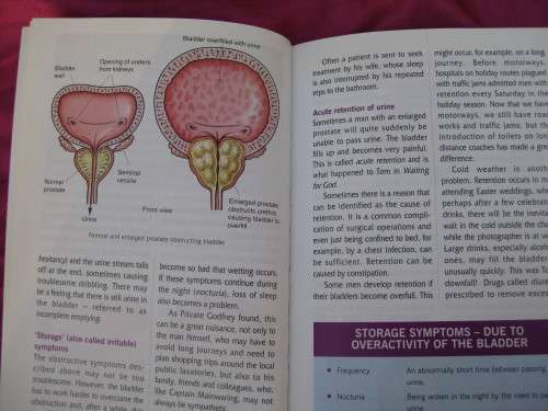 `Understanding Prostate Disorders`  Soft cover.  Professor David Kirk.  Family Doctor Series.