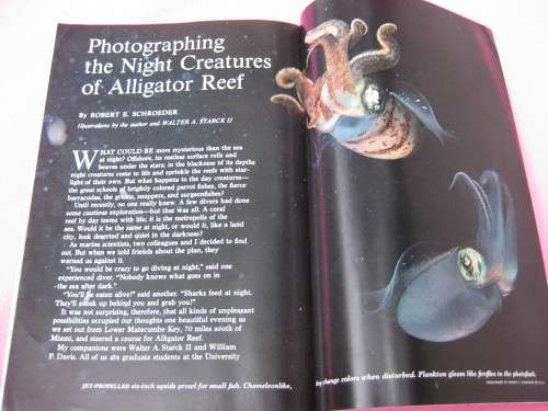 Retro.  `National Geographic` magazine.  January, 1964.