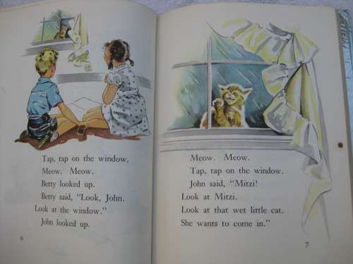 1955.  `Rain and Shine`  Witty Wavle Falk.  Hard cover.