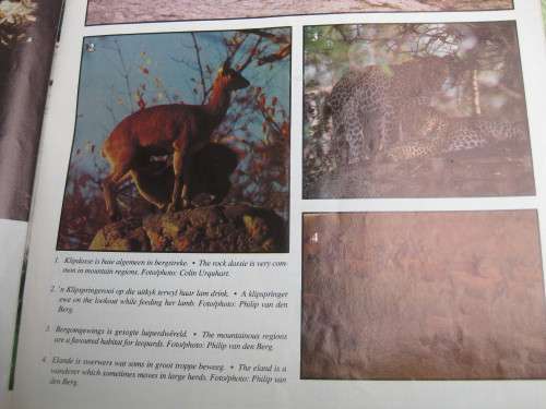 `Custos` Magazine May/Mei 1992.  The National Parks and Wildlife magazine/Tydskryf oor ons Natuur