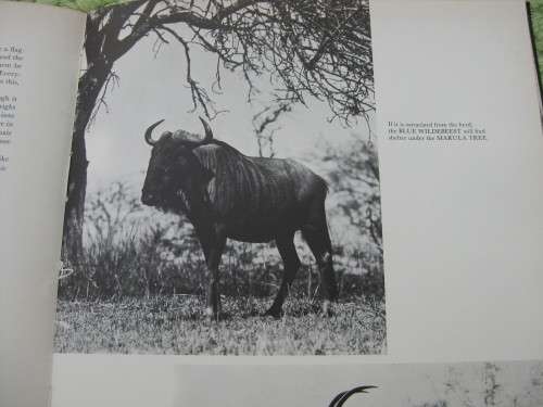 `The Kruger Park and other National Parks`  Hard cover.