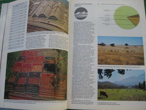1989.  `Agriculture in South Africa` 4th Edition.  Hard cover.