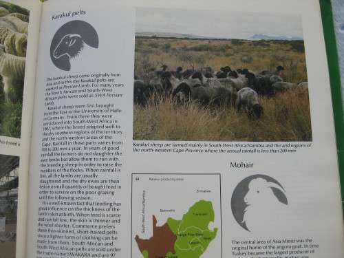 1989.  `Agriculture in South Africa` 4th Edition.  Hard cover.