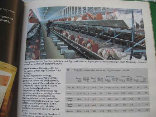 1989.  `Agriculture in South Africa` 4th Edition.  Hard cover.