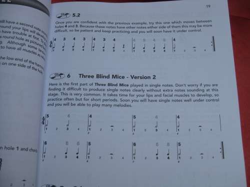 `Complete learn to play Harmonica Manual`  Soft cover.  2 CD`s.