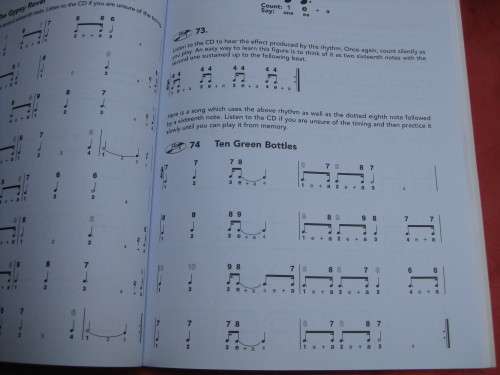 `Complete learn to play Harmonica Manual`  Soft cover.  2 CD`s.