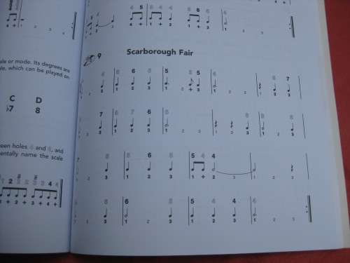 `Complete learn to play Harmonica Manual`  Soft cover.  2 CD`s.