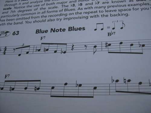 `Complete learn to play Harmonica Manual`  Soft cover.  2 CD`s.