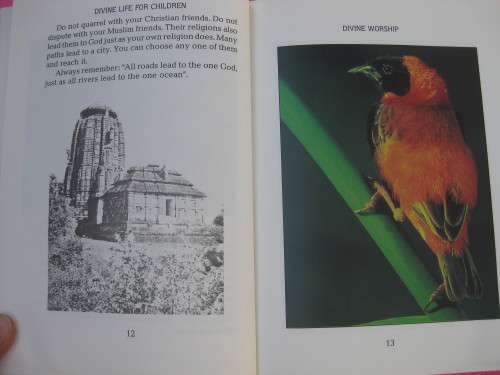 `Divine Life for Children` Sri Swami Sivananda   Hard cover.