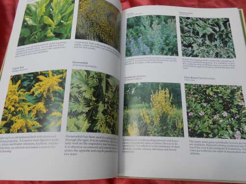 `A-Z of Herbs`  Margaret Robert.  Hard cover.
