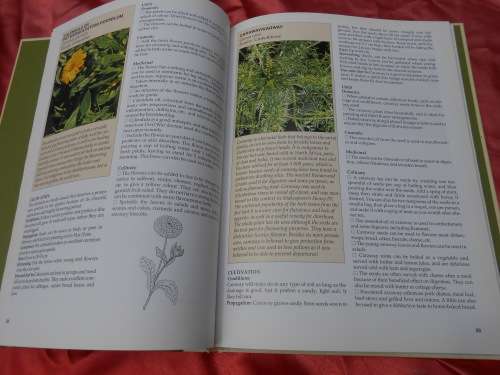`A-Z of Herbs`  Margaret Robert.  Hard cover.