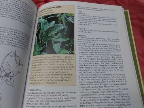 `A-Z of Herbs`  Margaret Robert.  Hard cover.