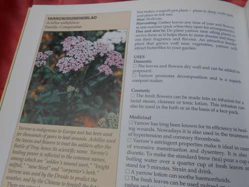 `A-Z of Herbs`  Margaret Robert.  Hard cover.