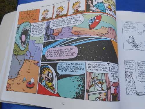 `The Days are Just Packed`  Calvin and Hobbes.  Soft cover.