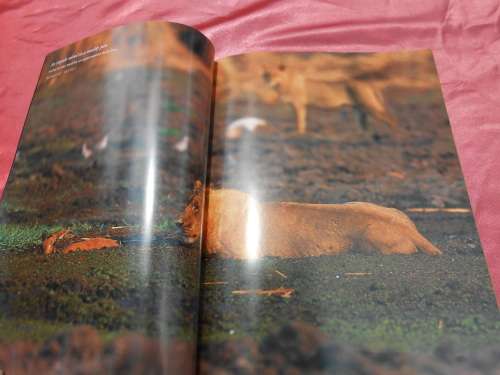 Canon `The Best of African Geographic`  88 pages.  Soft cover.
